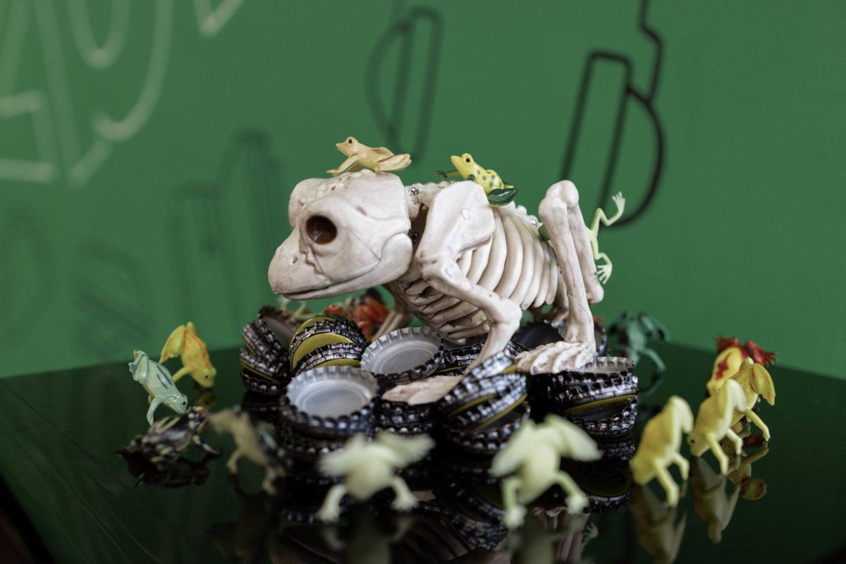 Skull frog leader - Frogslayer Culture
