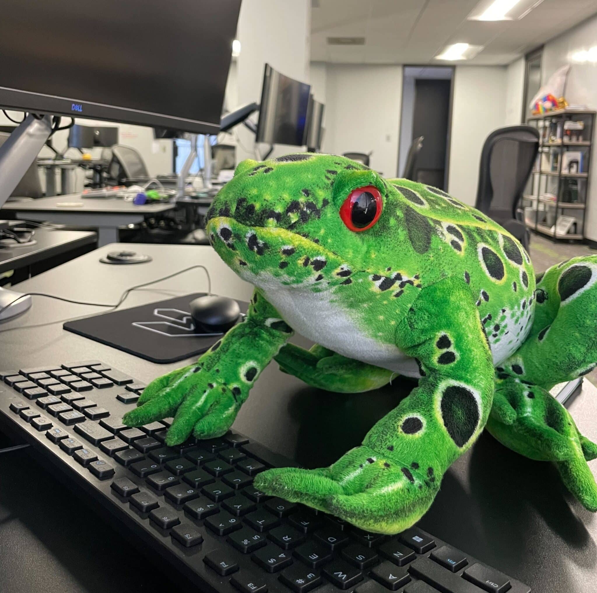 Custom vs OfftheShelf Software Frogslayer’s Build vs Buy Analysis